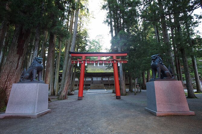 Private Half-Day Tour in Wakayama Koyasan - Tour Details