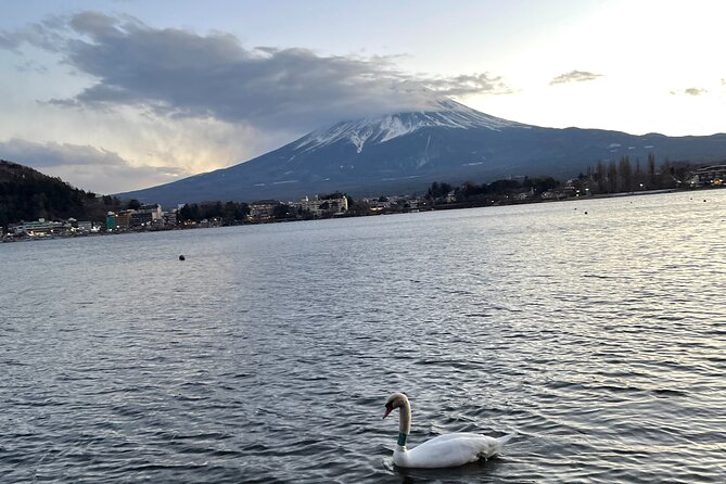 Private Kawaguchiko Tour With Mt Fuji View - Experience Highlights