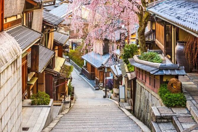 Private Kyoto Tour With Hotel Pickup and Drop off From Osaka - Reviews