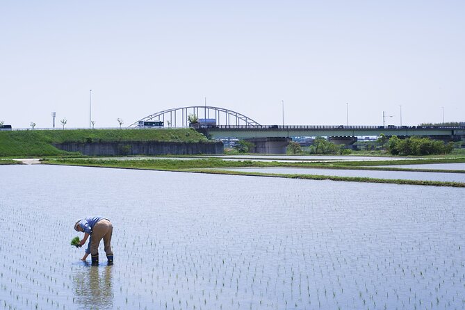 Private Rice Agriculture Experience in Mie - Availability and Booking