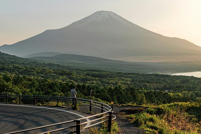 Private Sightseeing Tour to Mt Fuji and Hakone Guide - Mt Fuji 5th Station