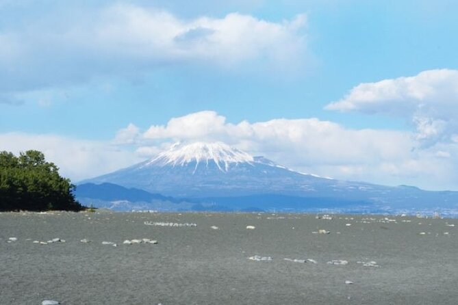 Private Tour From Kunozan Toshogu Shrine to Miho Matsubara - Tour Directions and Accessibility