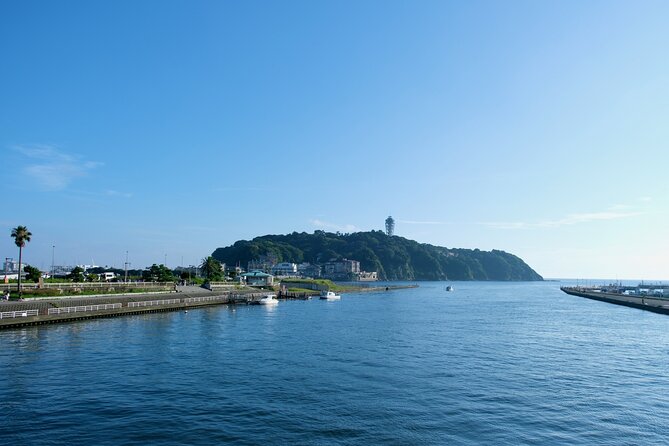 Private Tour in Slam Dunk Locations and Kamakura Sights - Booking Process