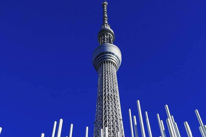 Private Tour Tokyo - the Harmony of Modernity and Tradition - Cancellation Policy