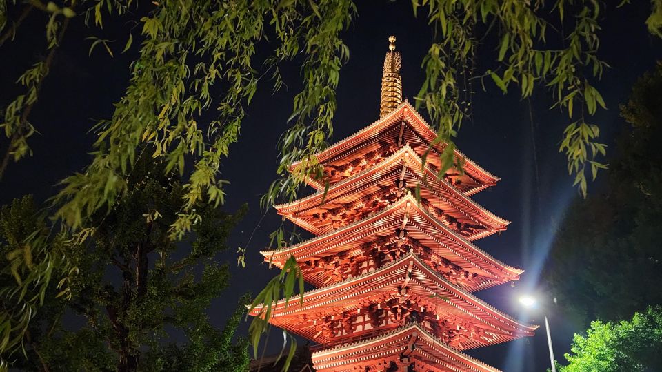 Real Tokyo in One Day With a Local - Inclusions in the Tour Package
