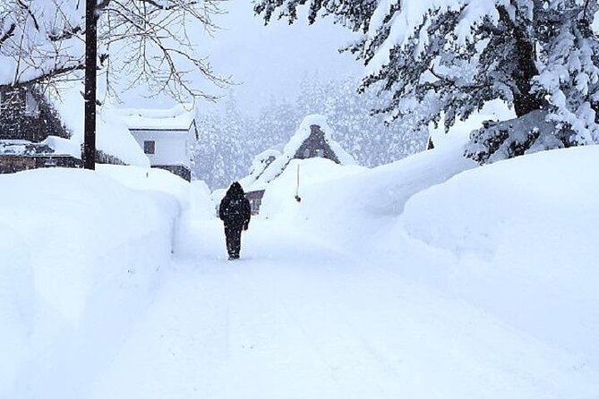 Shirakawago and Takayama 2 Days Tour From Osaka or Kyoto - Important Reminders