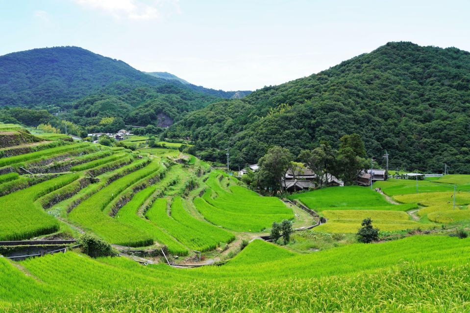 Shodoshima Private Taxi Tour – Pilgrimage Temple Visit - Logistics