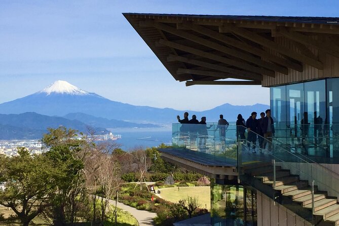 Small Group Japanese Green Tea Tasting in Shizuoka - Recap