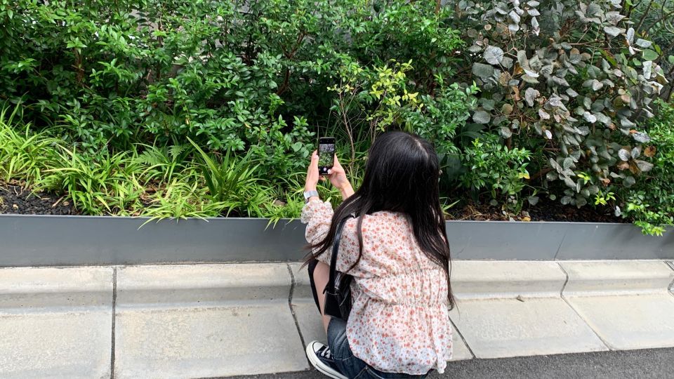 Smartphone Photography Experience in Tokyo - Itinerary Details