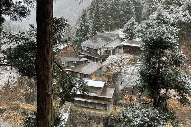 Snow Monkey and Zenkoji Temple Sake in Nagano Full Day Tour - Booking