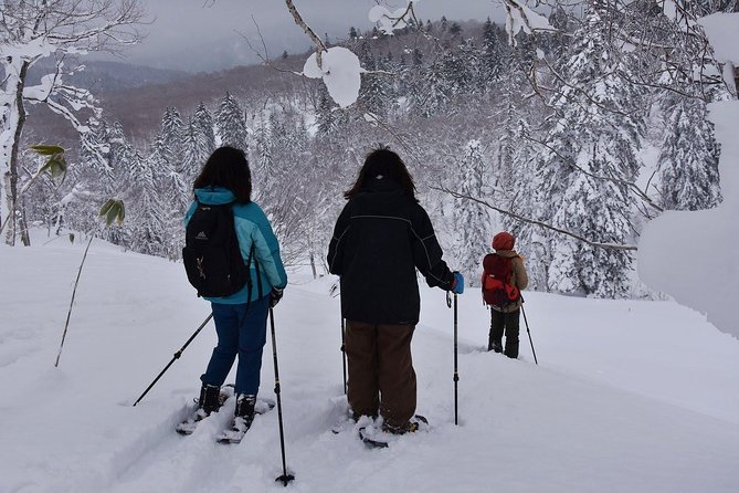 Snowshoe Hike Tour From Sapporo - Additional Information