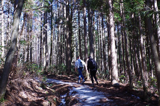 Togakushi Shrine Hiking Trails Tour in Nagano - Scenic Pond Visit