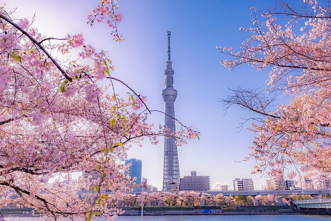 Tokyo Asakusa Half Day Walking Tour With Local Guide - Operated by