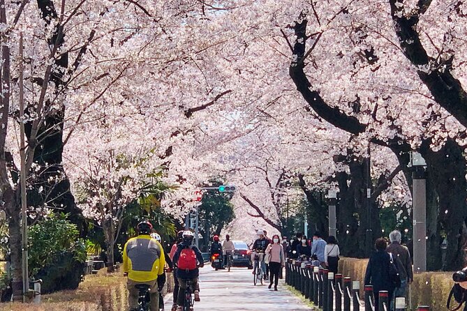 Tokyo Cherry Blossoms Blooming Spots E-Bike 3 Hour Tour - Frequently Asked Questions