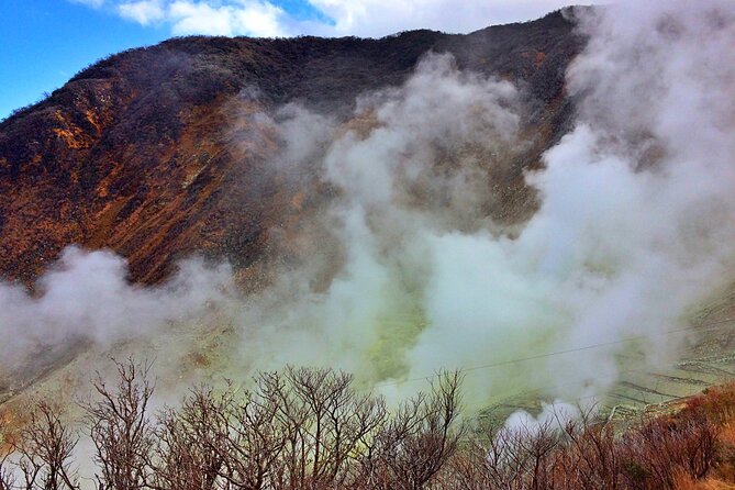 Tokyo: Hakone and Owakudani and Lake Kawaguchi Day Tour - Accessibility and Participants