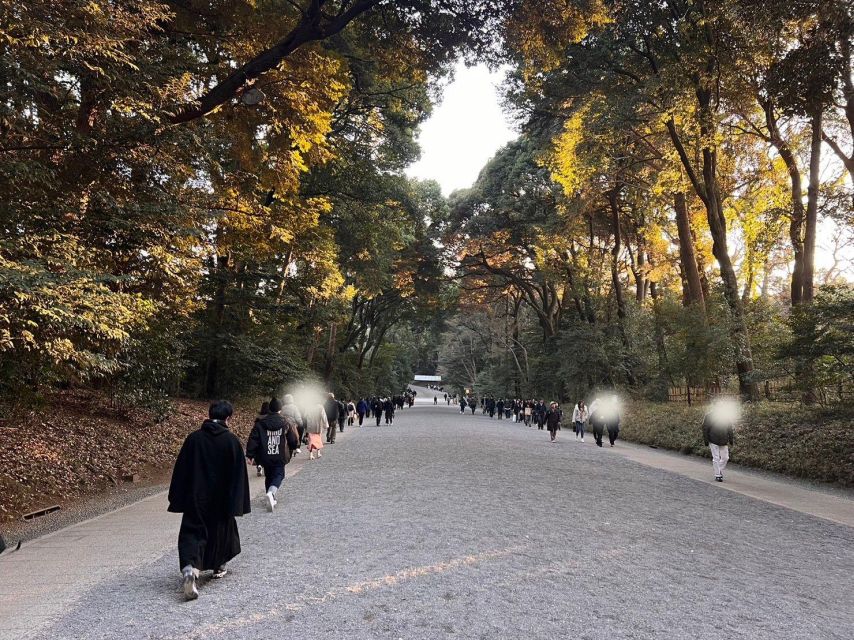 Tokyo Harajuku Meiji Jingu Shrine 1h Walking Tour - Inclusions