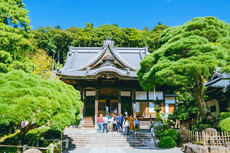 Tokyo: Izu Hydrangea Ocean, Jogasaki Beach & Hot Spring Day - Booking and Reservation Instructions