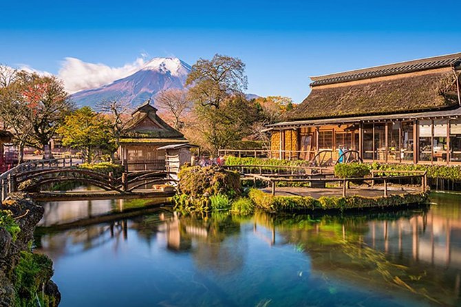 Tokyo: Mt. Fuji 5th Station, Lake Kawaguchi and Gotemba Outlets - Accessibility Information