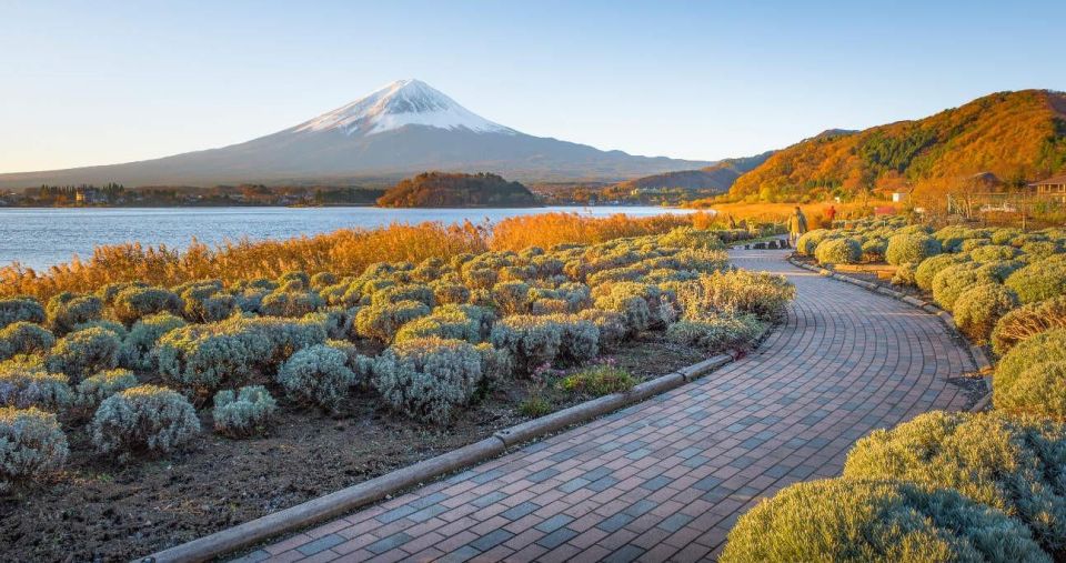 Tokyo: Mt Fuji Day Tour With Kawaguchiko Lake Visit - Meeting Point Information