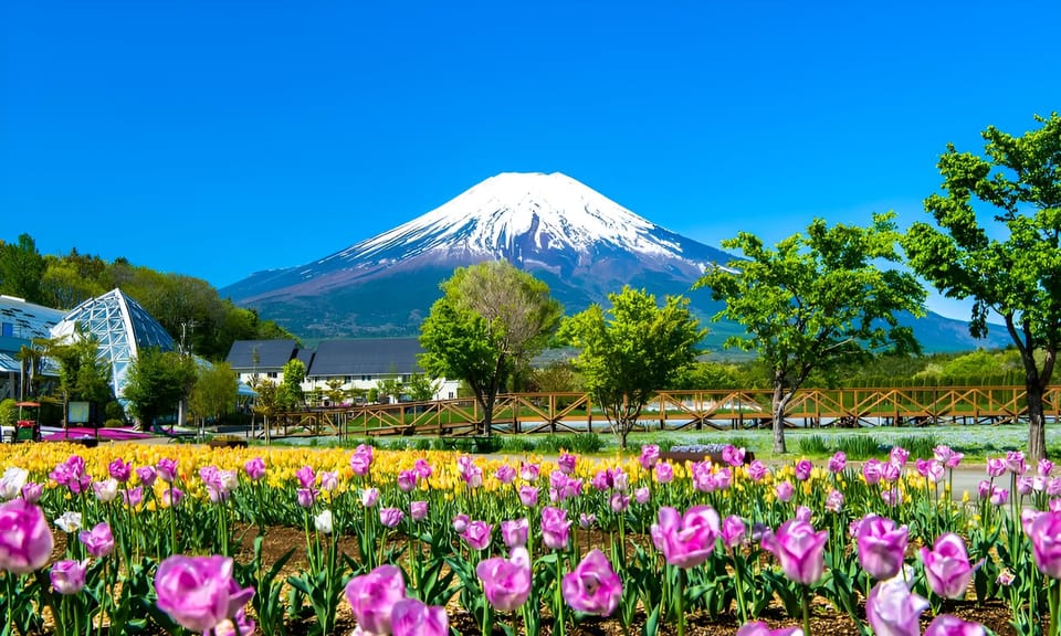 Tokyo: Mt. Fuji Festival, Ropeway, & Fruit Picking Day Trip - Directions