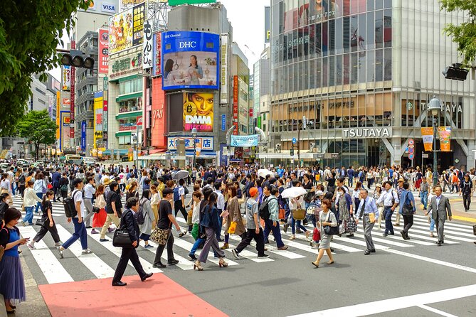 Tokyo Personalized Full-day Tour Led by a Local Expert - Meeting and Pickup