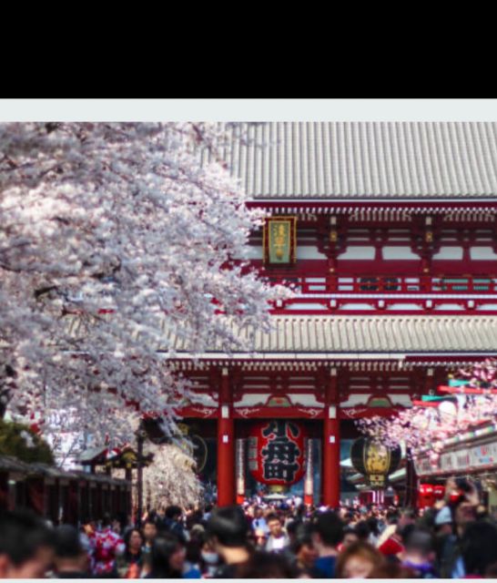 Tokyo Private Tour: Customizable (Up-To 6 Persons) - Reviews