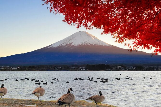 Tokyo to Mount Fuji Journey of a Lifetime Day Trip - What To Expect