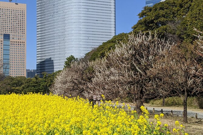 Tokyo Tsukiji & Hamarikyu Gardens Wellness Tour – Walk and Relax - Directions and Transportation