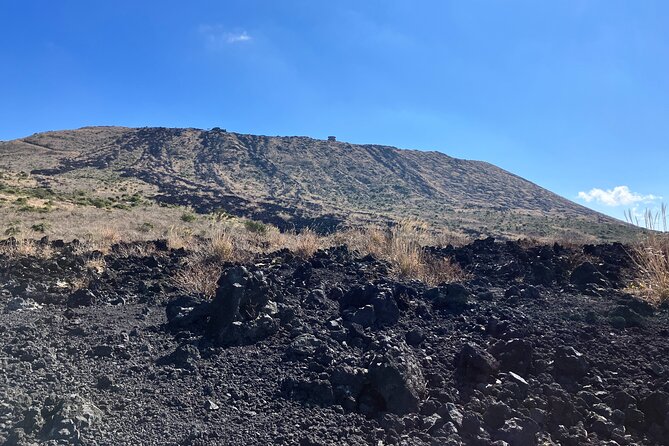 Trekking Volcanic Island in Izu Oshima - Booking Information