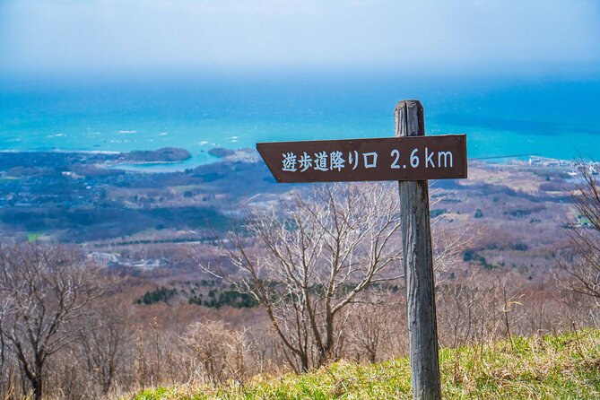 Usuzan Volcano Guided Hiking Private Tour - Pricing Details