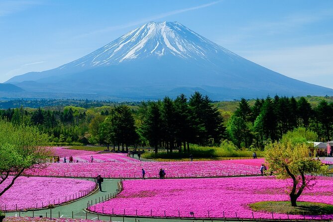 View of Mt. Fuji, Chureito Pagoda and Hakone Cruise Day Trip - Important Notes