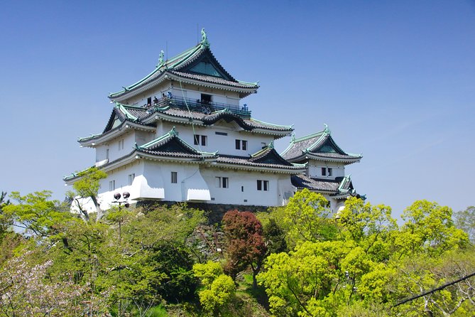 Wakayama Castle Town Walking Tour - Booking Information