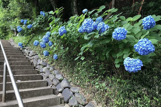 Walking the Only Valley in Tokyo, Eat and Compare Hot Pot Dishes. - Pricing Information