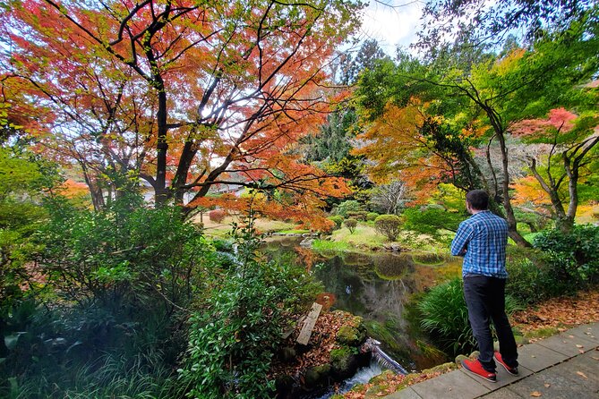 Walking Through the Aso Caldera, Historical Walk Along the Bungo Kaido - Booking Information and Reservation Tips