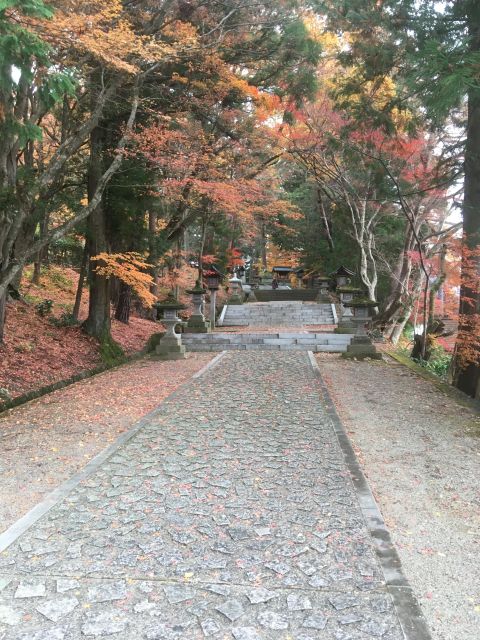 Walking Tour of Takayama - Inclusions