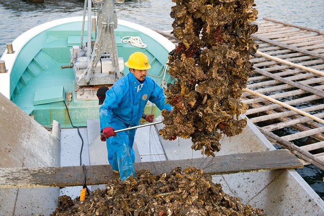 Witness an Oyster Harvest & Interact With Local Oyster Farmers! - Oyster Tasting Option Available