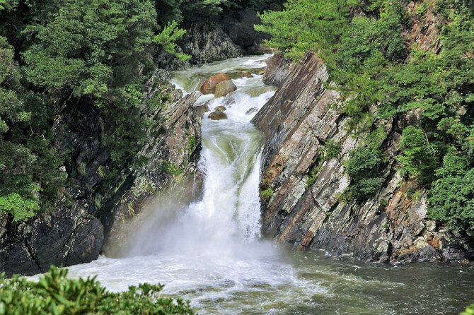 Yakushima Private Island Sights Tour With English Speaking Guide - Booking Information