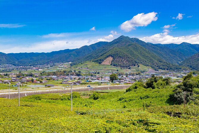 Yamanashi Koshu Winery Private Tour With Licensed Guide & Vehicle - Cancellation Policy