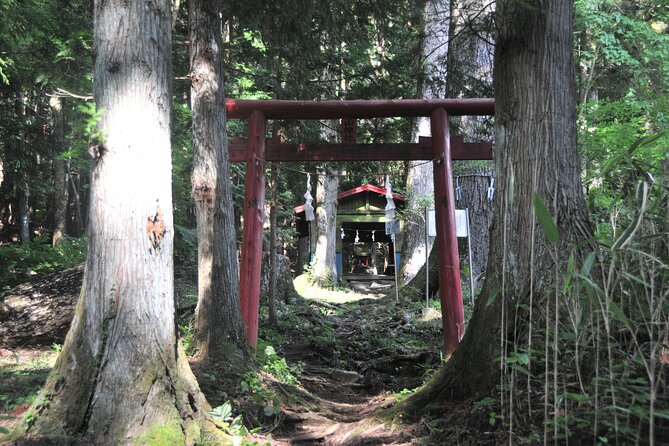 5 Hours of Pilgrimage Tour in the Footage of Mt Fuji in English - Key Points