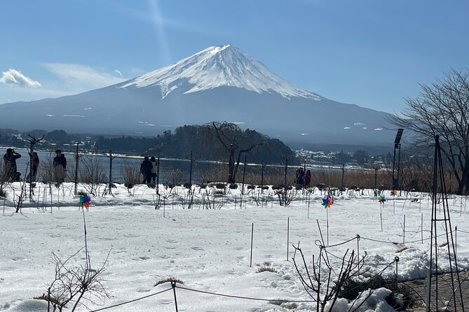 1 Day Tour Mt Fuji,Lake Kawaguchiko With English Speaking Guide - Recap