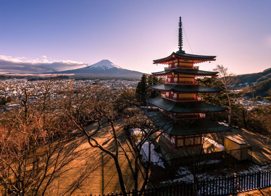 1-Day Trip: Mt Fuji + Kawaguchi Lake Area - Language Options