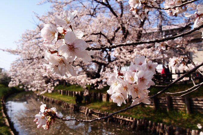 1 Hour Private Photoshoot in Matsumoto Nagano - Recap