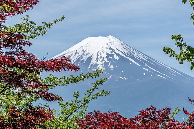 10 Days In-depth Discover Japan Deluxe Tour - Maximum Travelers and Operator Details