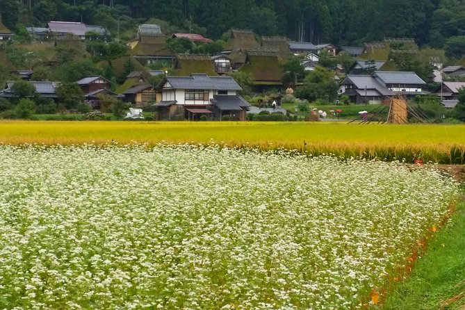 2 Days Kyoto Miyama Bike Tour Self Guided - Customer Reviews and Ratings