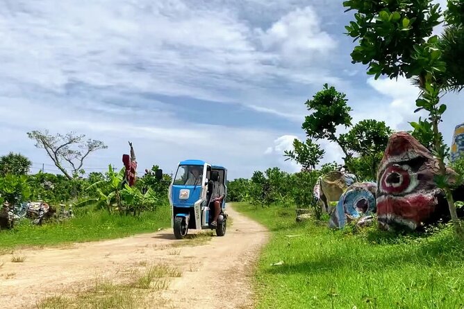 2h 3-Seater Electric Trike Rental (Ishigaki, Okinawa) - Recap