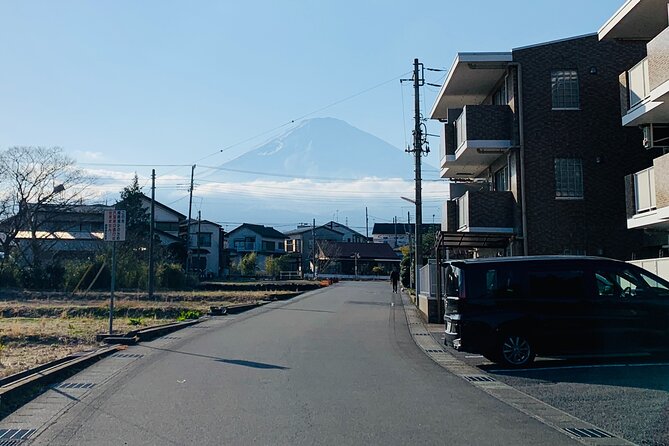 3-Hour Gotemba Food and Nightlife Izakaya Walking Tour - Pricing and Booking Details