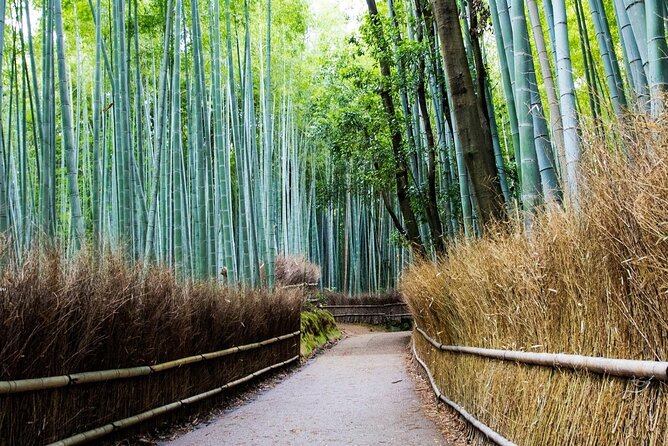 Arashiyama Bamboo Grove Day Trip From Kyoto With a Local: Private & Personalized - Local Cuisine Tasting and Food Stops