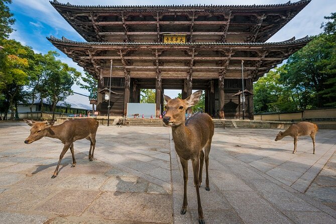 Arashiyama & Yasaka Shrine & Nara & Todaiji Day Trip From Osaka - Nara Deer Park Visit