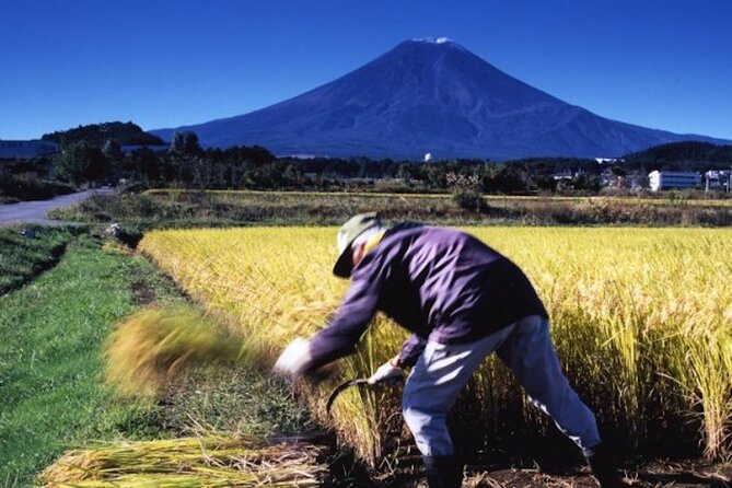 Best Price for 2-6 People! Mt Fuji & Natural Water Private Tour - Vehicle Information