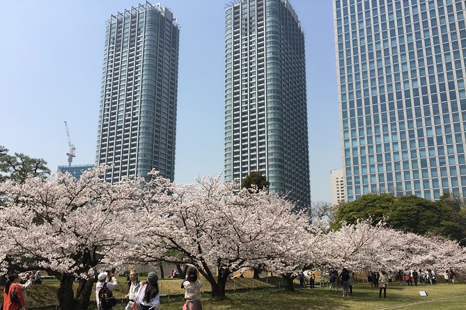 Cherry Blossom Tour in Tokyo - Frequently Asked Questions